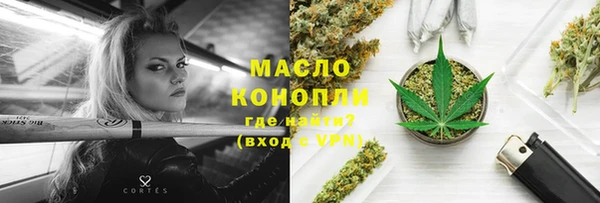 молекула духа Богданович