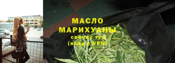 молекула духа Богданович