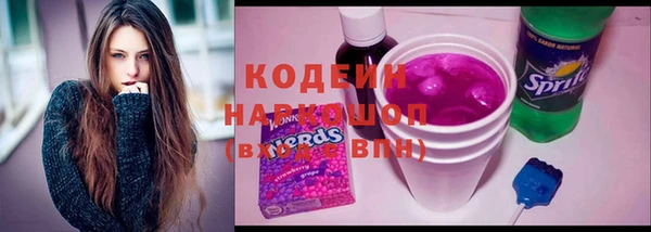 молекула духа Богданович