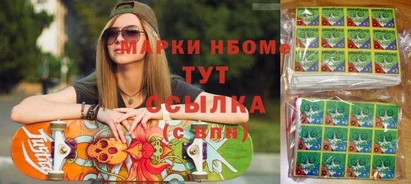 индика Арсеньев