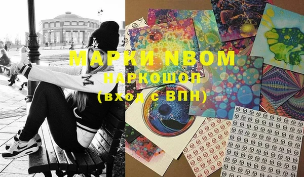 молекула духа Богданович
