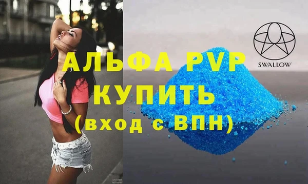 индика Бугульма