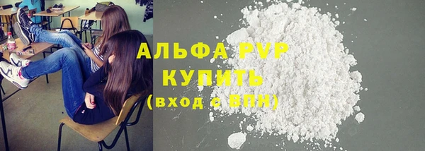 дурь Бородино