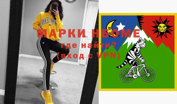 индика Бугульма