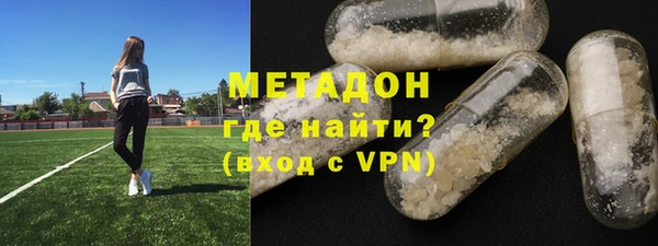 индика Арсеньев